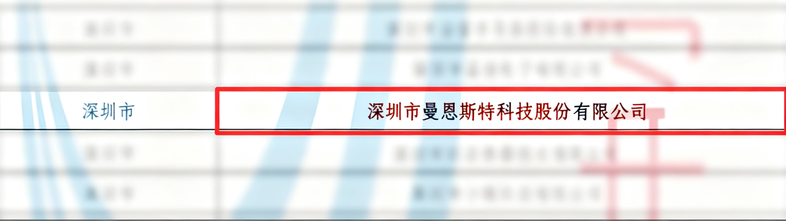 allwincity万象城斯特-荣膺2025年专精特新“小巨人”-国家级权威认定-通过复核02.png